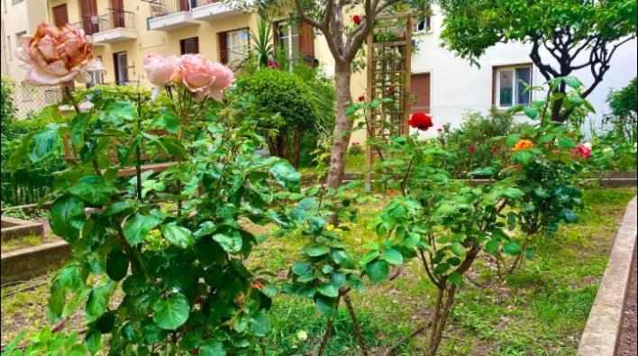 Appartement L'Avenir Du Ray à Nice Extérieur photo