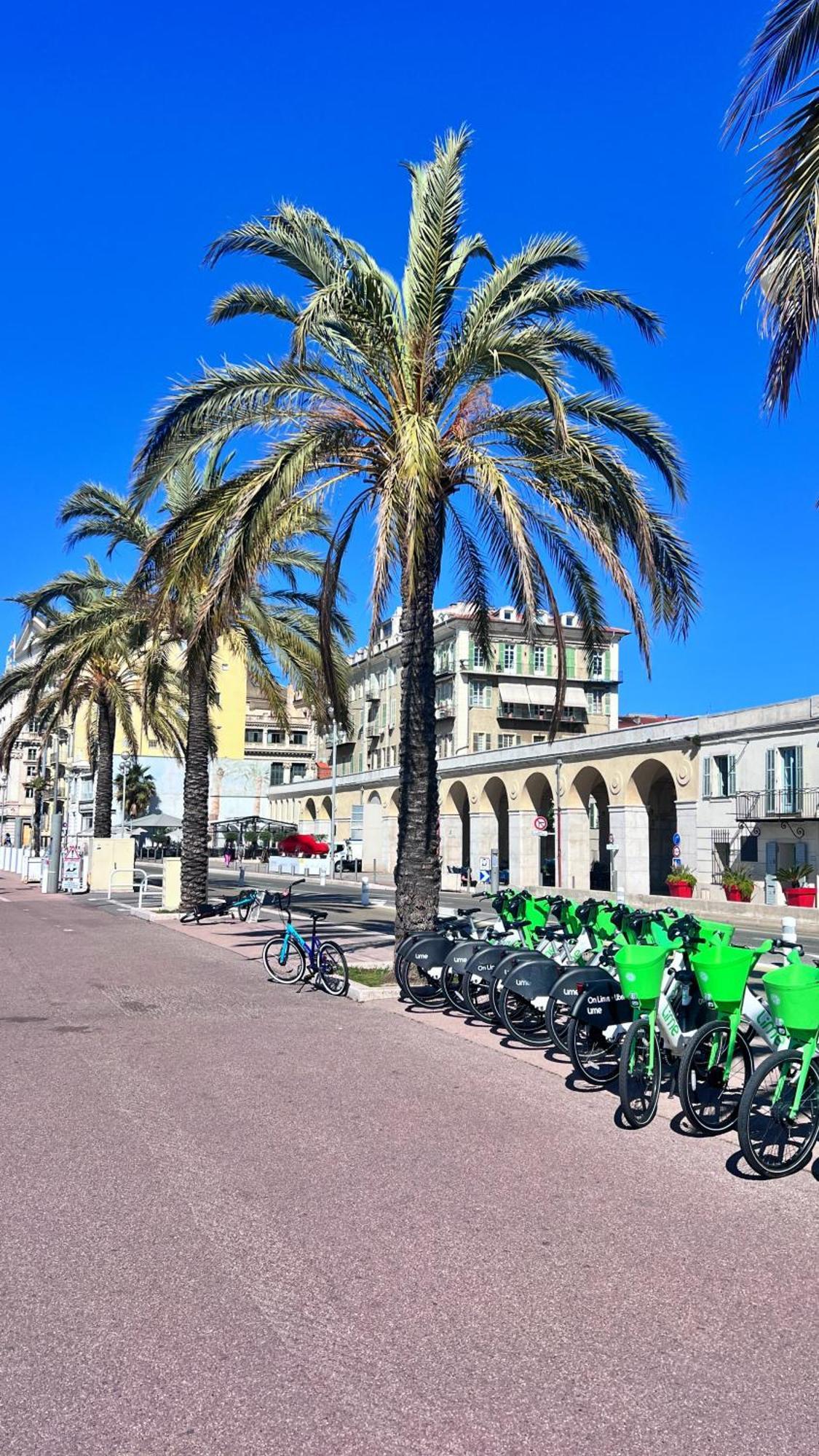 Appartement L'Avenir Du Ray à Nice Extérieur photo